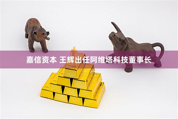 嘉信资本 王辉出任阿维塔科技董事长