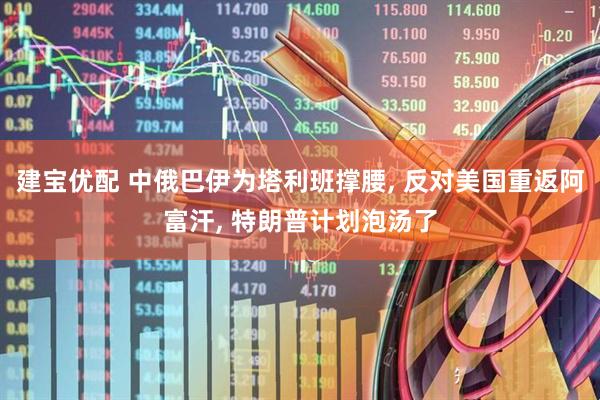 建宝优配 中俄巴伊为塔利班撑腰, 反对美国重返阿富汗, 特朗普计划泡汤了