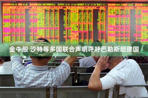 金牛股 沙特等多国联合声明呼吁巴勒斯坦建国
