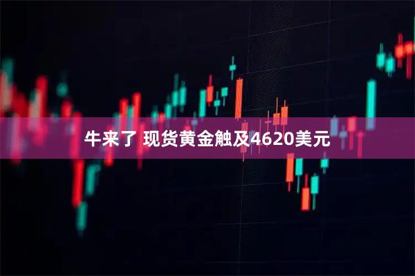 牛来了 现货黄金触及4620美元