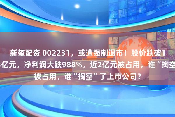 新玺配资 002231，或遭强制退市！股价跌破1元，市值仅剩3亿元，净利润大跌988%，近2亿元被占用，谁“掏空”了上市公司？