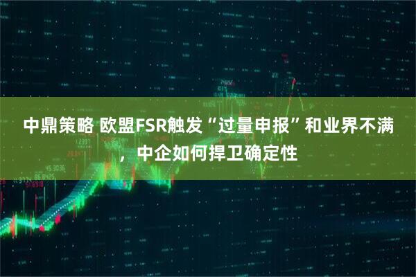 中鼎策略 欧盟FSR触发“过量申报”和业界不满，中企如何捍卫确定性