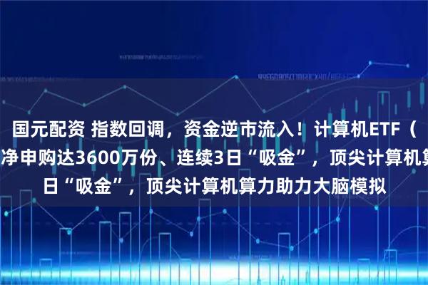 国元配资 指数回调,资金逆市流入!计算机ETF(159998)上周五净申购达3600万份、连续3日“吸金”,顶尖计算机算力助力大脑模拟