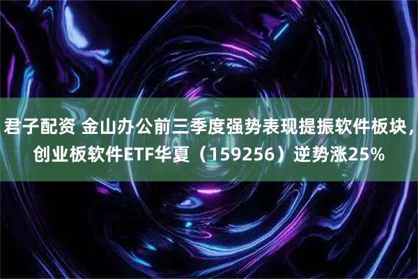 君子配资 金山办公前三季度强势表现提振软件板块,创业板软件ETF华夏(159256)逆势涨25%