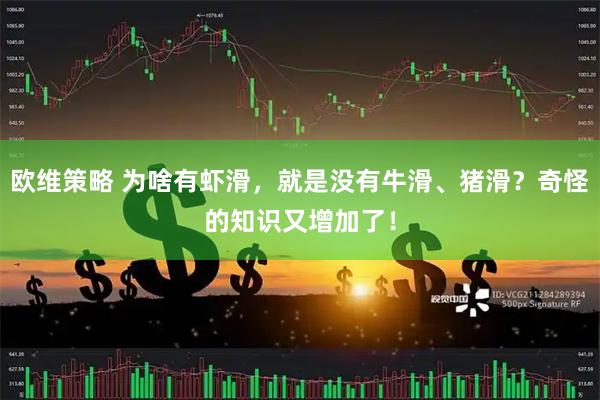 欧维策略 为啥有虾滑，就是没有牛滑、猪滑？奇怪的知识又增加了！